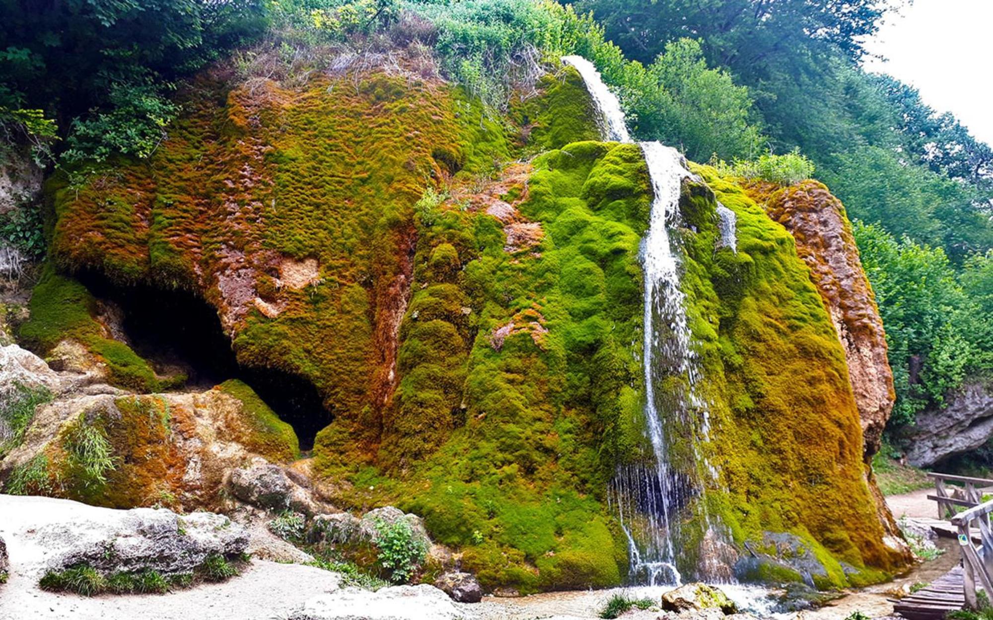 Eifel-Quartier Daire Kerpen  Dış mekan fotoğraf