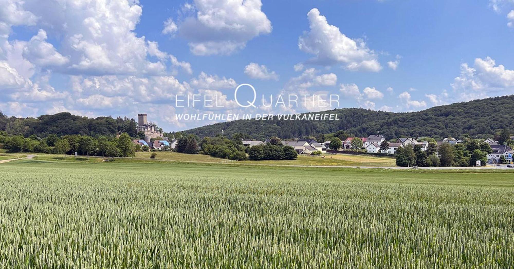 Eifel-Quartier Daire Kerpen  Dış mekan fotoğraf