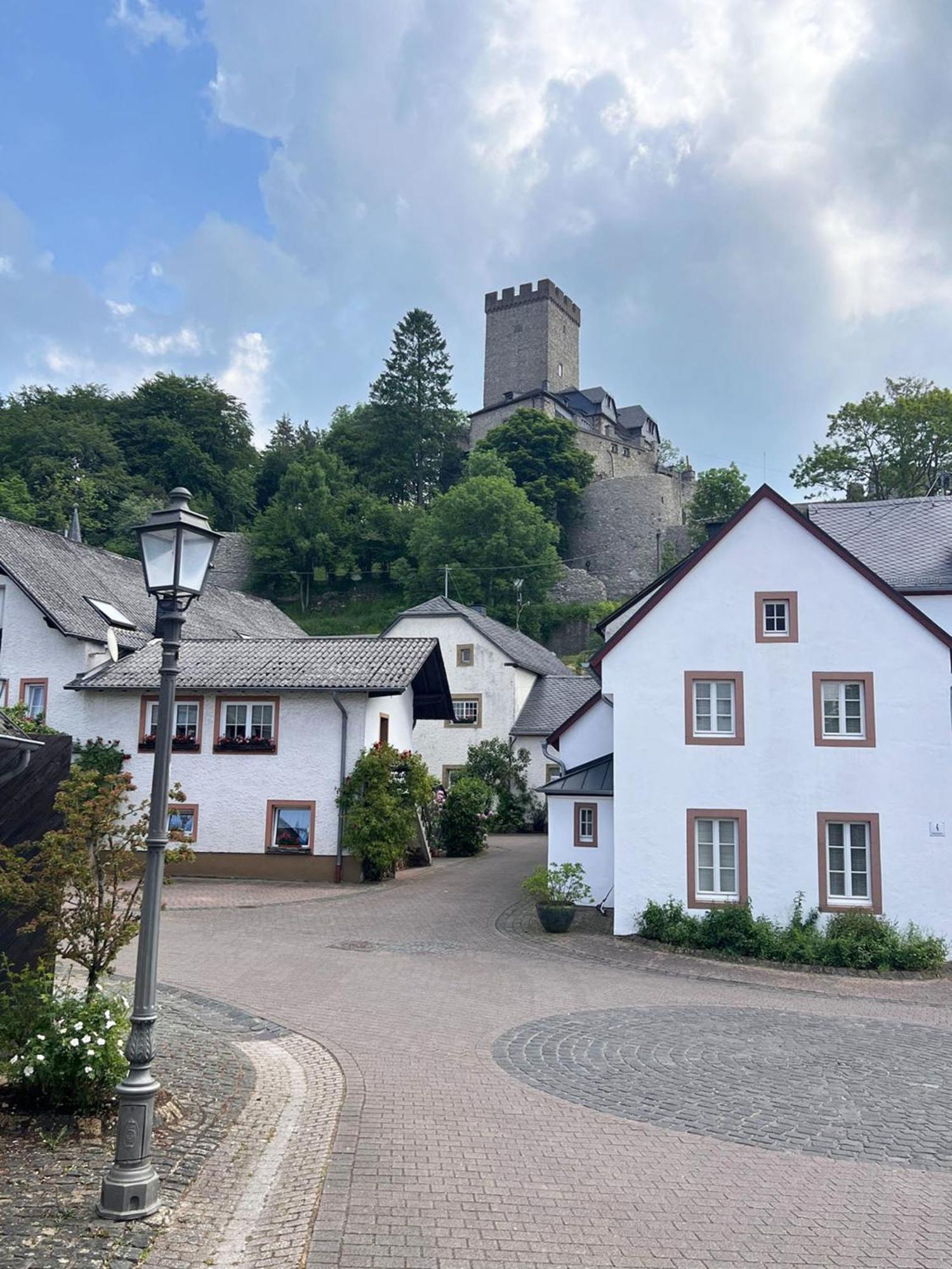 Eifel-Quartier Daire Kerpen  Dış mekan fotoğraf